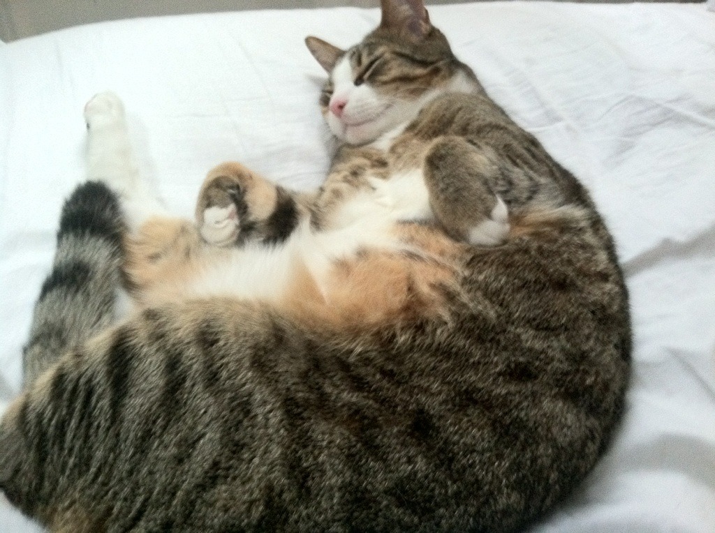 2021年季后赛:库里连续投出关键三分,带领勇士逆风翻盘,库里季后赛得分