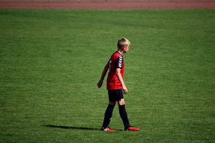 开云权威入口-勇士训练时长延长球员投入度高，勇士训练短袖