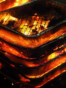 开云官网登录-森林狼主场布景焕然一新增强品牌识别度，森林狼logo